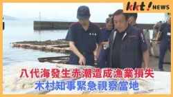 Red Tide Causes Fishery Losses in Yatsushiro Sea; Governor Kimura Conducts Emergency Inspection