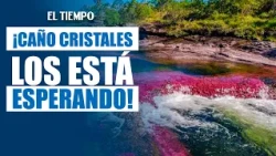 Caño Cristales los está esperando | EL TIEMPO