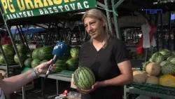 Pipita osvaja slatkoćom - TV Pančevo