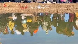 | The Miracle of Gaza.. To Those Whose Lives Were Stolen But Who Did Not Give Up on Life! | PROMO